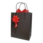 Bolsa de Regalo Mediana