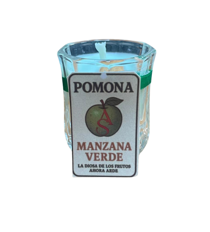 pagina web (2) pagina web (2)