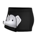 Bóxer Elefante